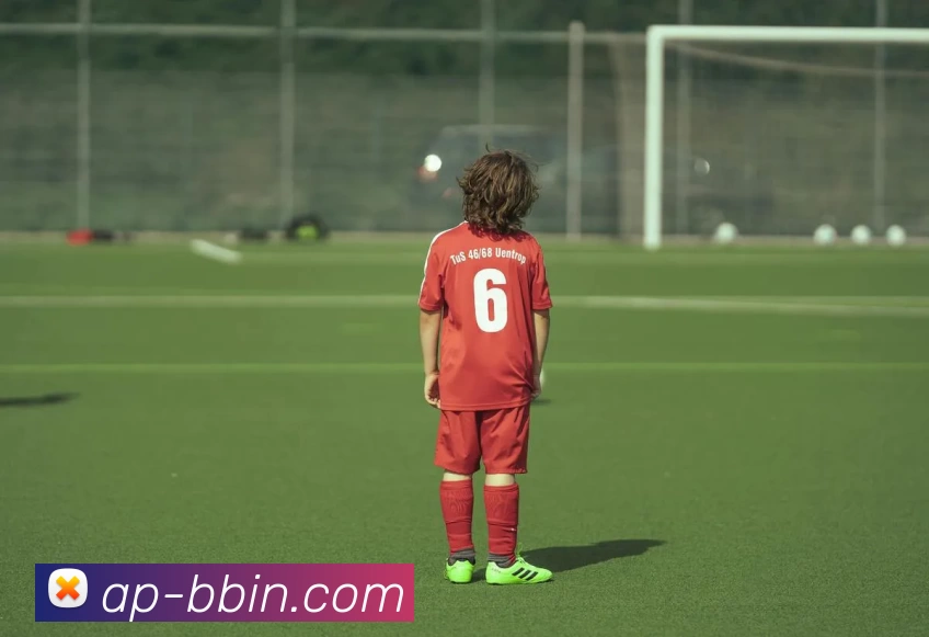 bbin体育平台平台生态图