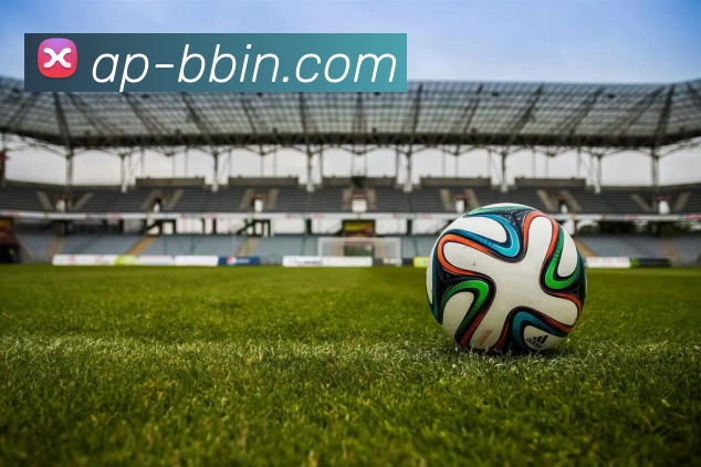 bbin体育平台APP 封面图